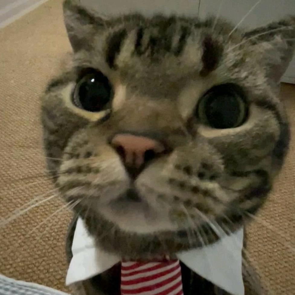 厄咒：吞噬食物