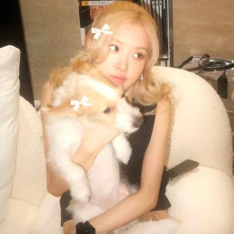 𝗰𝗮𝗧𝗧𝗼𝗶𝗶𝗻