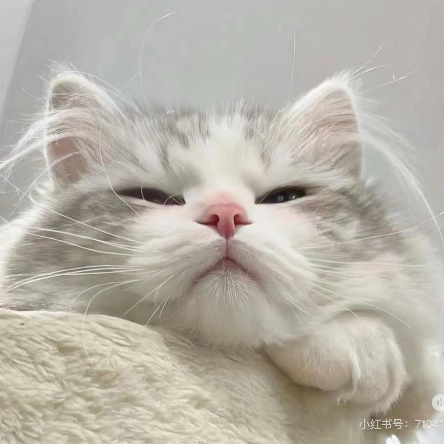 嘻嘻 不嘻嘻