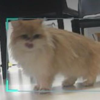 塔塔