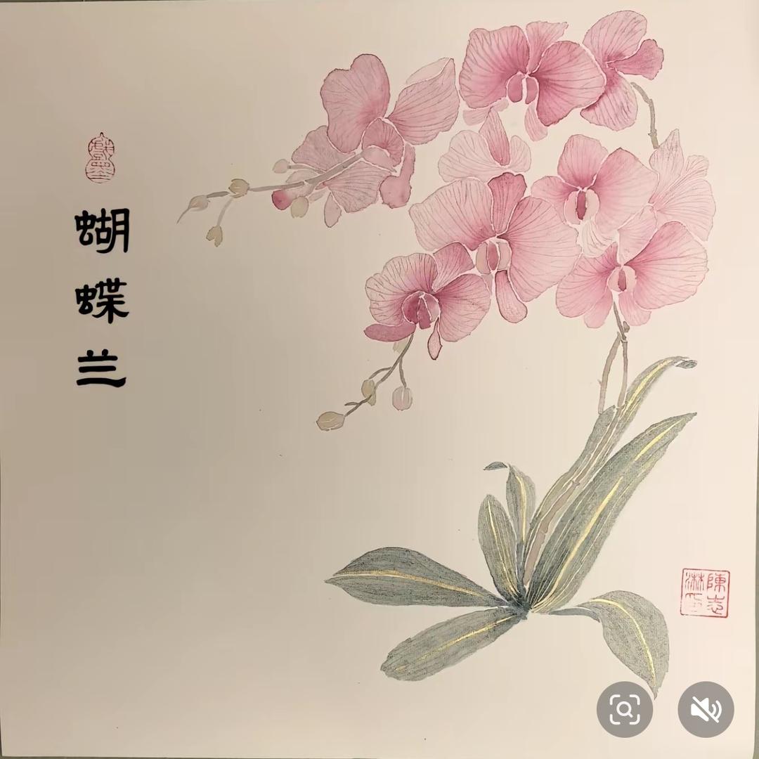 南方花卉许姐
