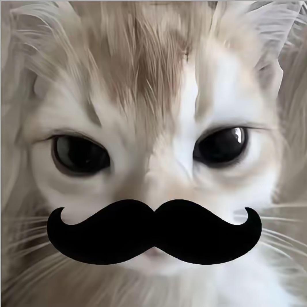 小Y