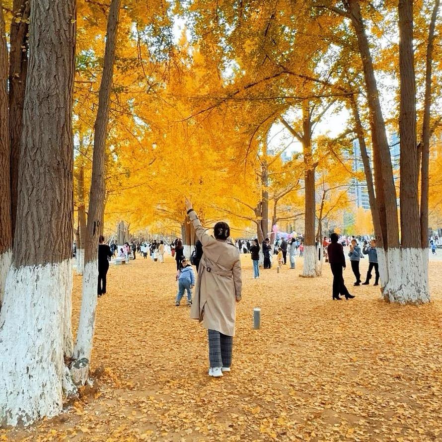 倩倩爱上孔雀鱼🐟