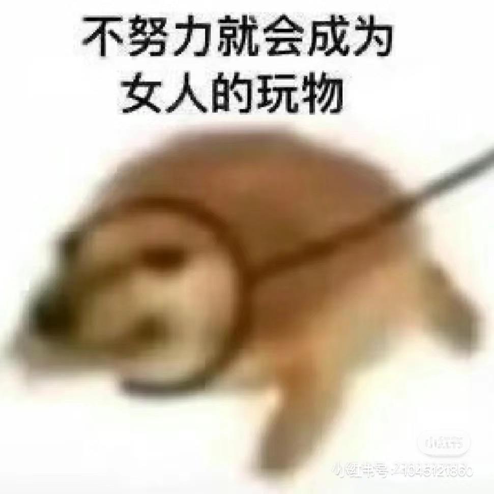 啦啦啦