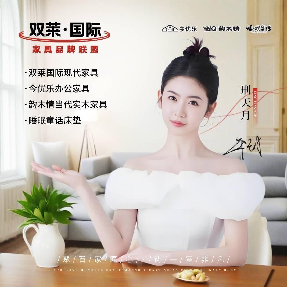 临汾双莱国际家具