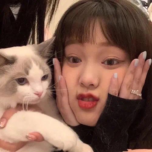 怂怂怪