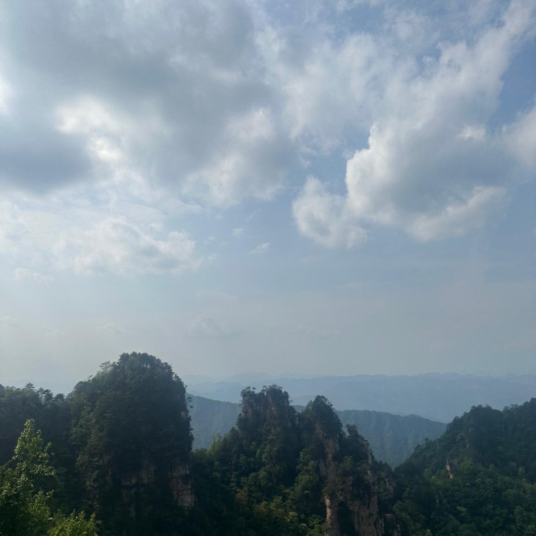 青木