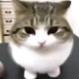 糖醋鱼