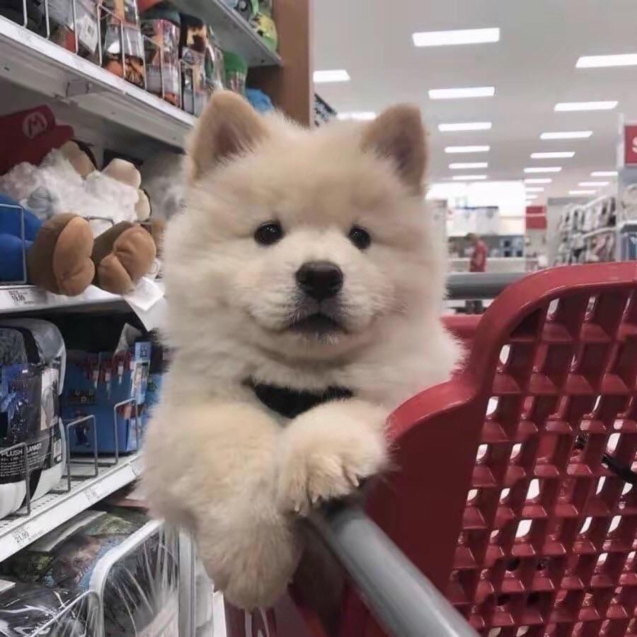 我．．