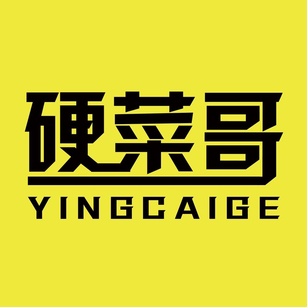 硬菜哥模型