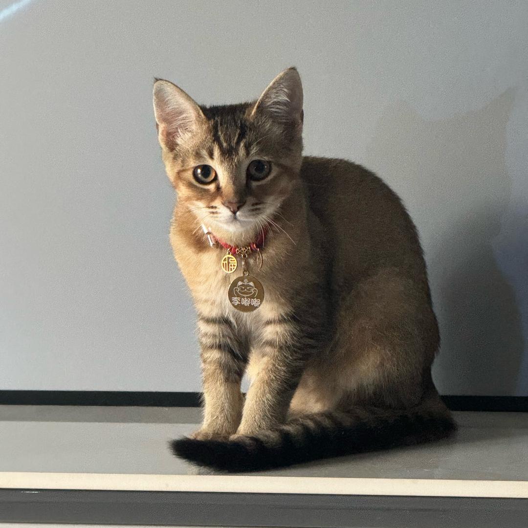 请关注宁波小洛熙事件