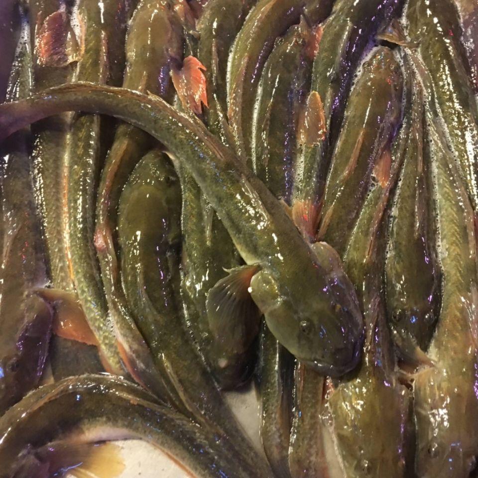 小果果海鲜美食