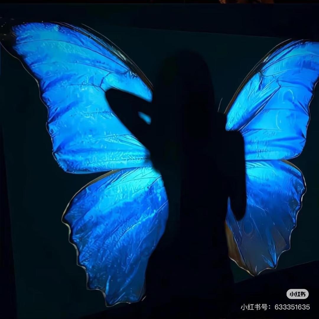 甜甜的后花园