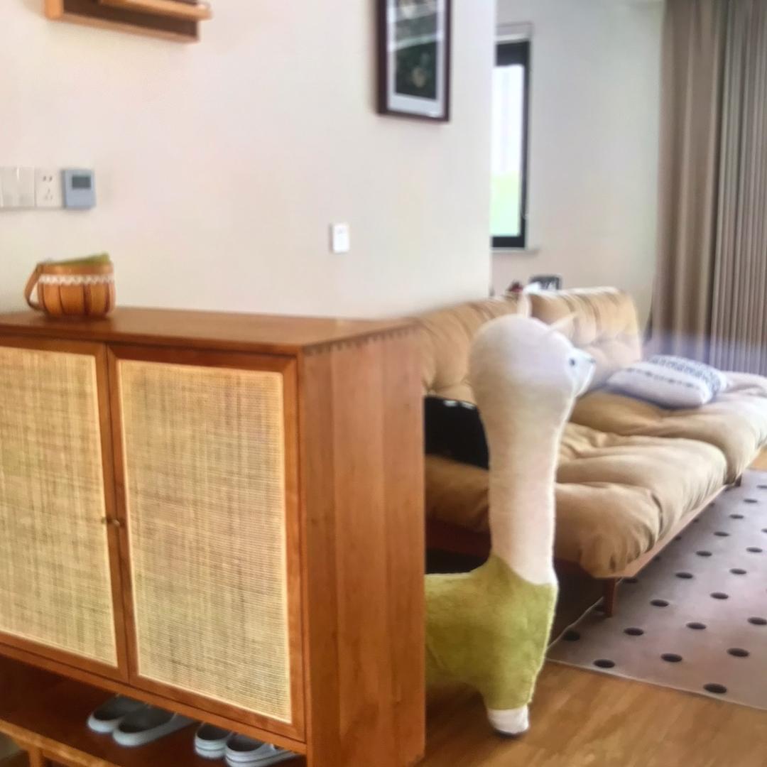 艺欣欣