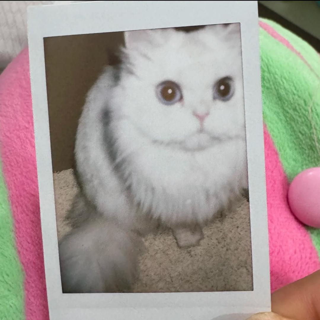 你说呢