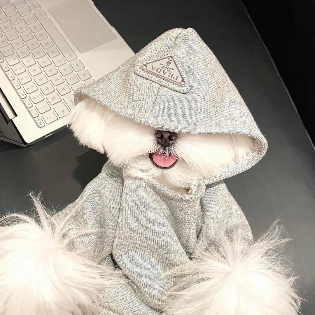 o3o