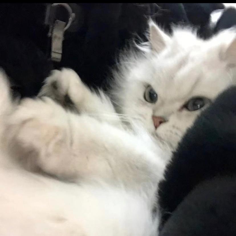 愤怒的农村小孩