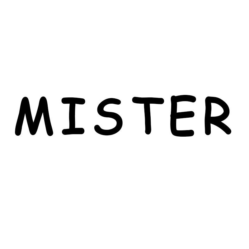 MISTER眼镜