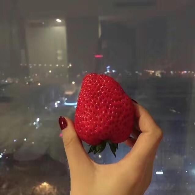 叫我小C头像
