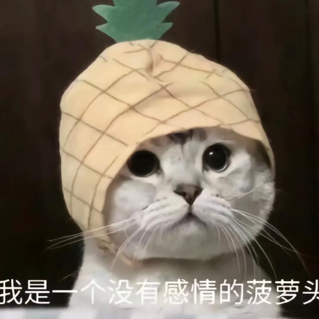 小黄没睡醒.