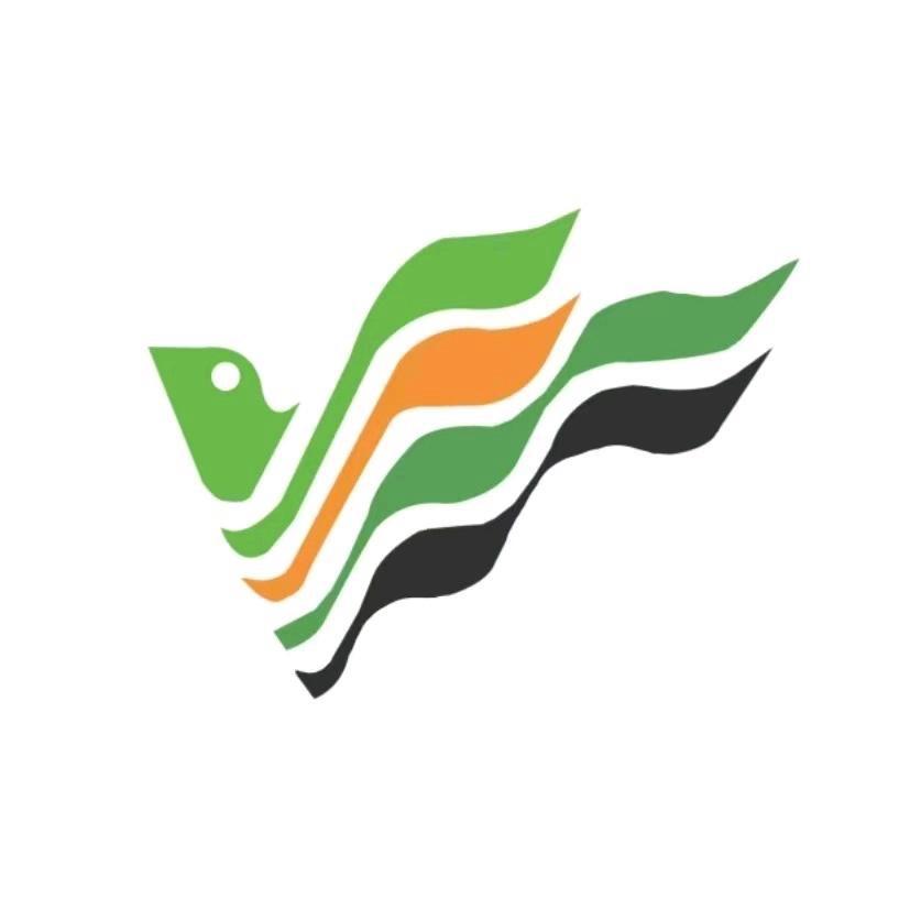 文化传播达人
