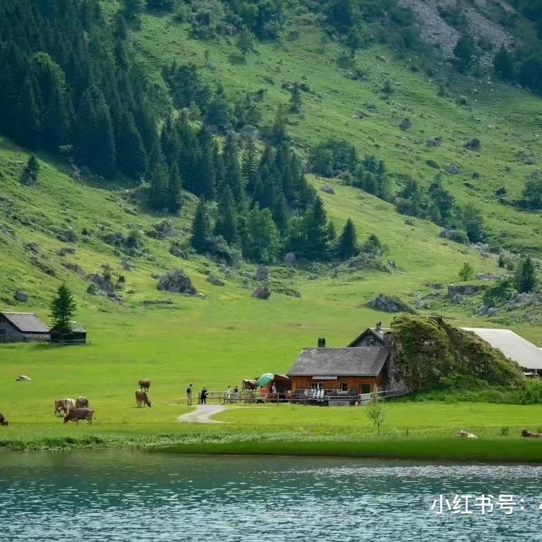 莱茵壹号🫶🏻