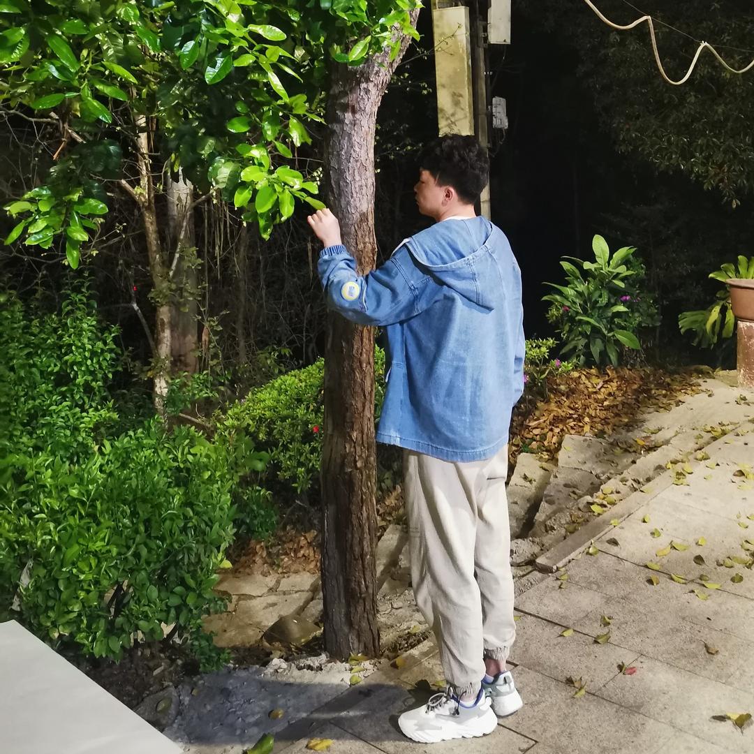 阿强•陈皮（小号）