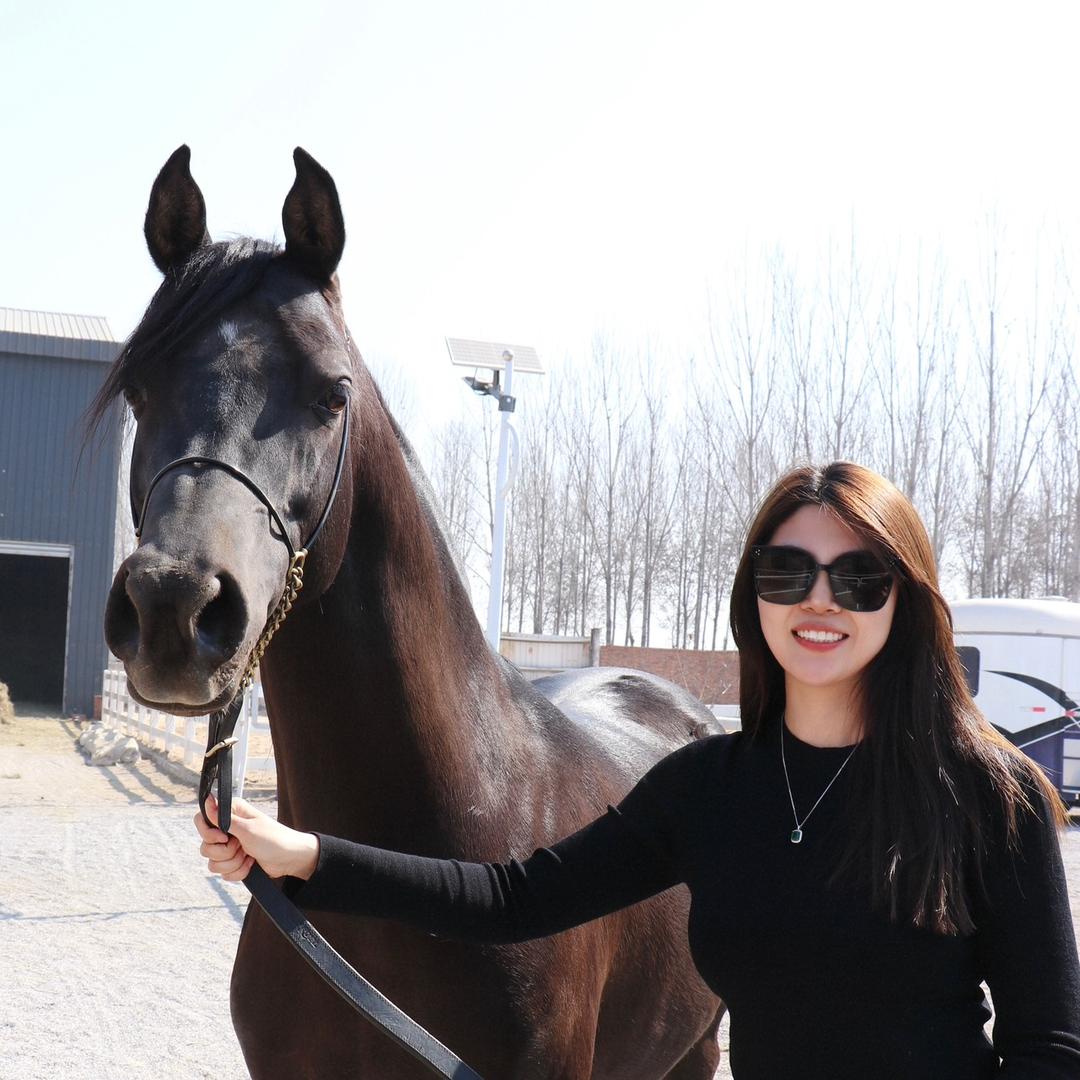 盛甄阿拉伯马房——大超