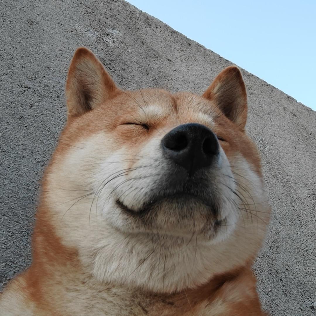 丁丁