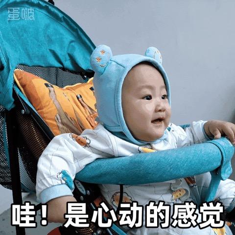 小秦秦🐯🐯