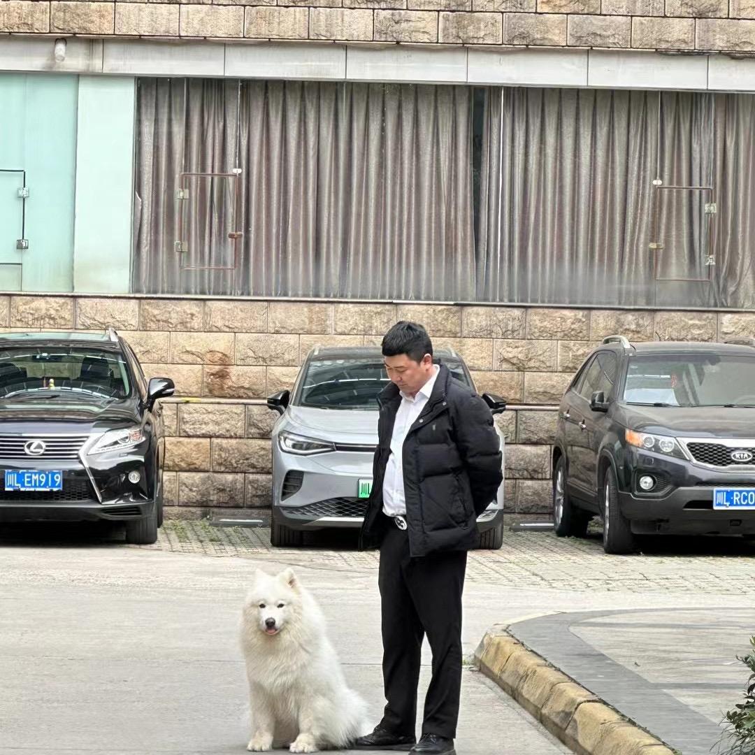 A王猴将相