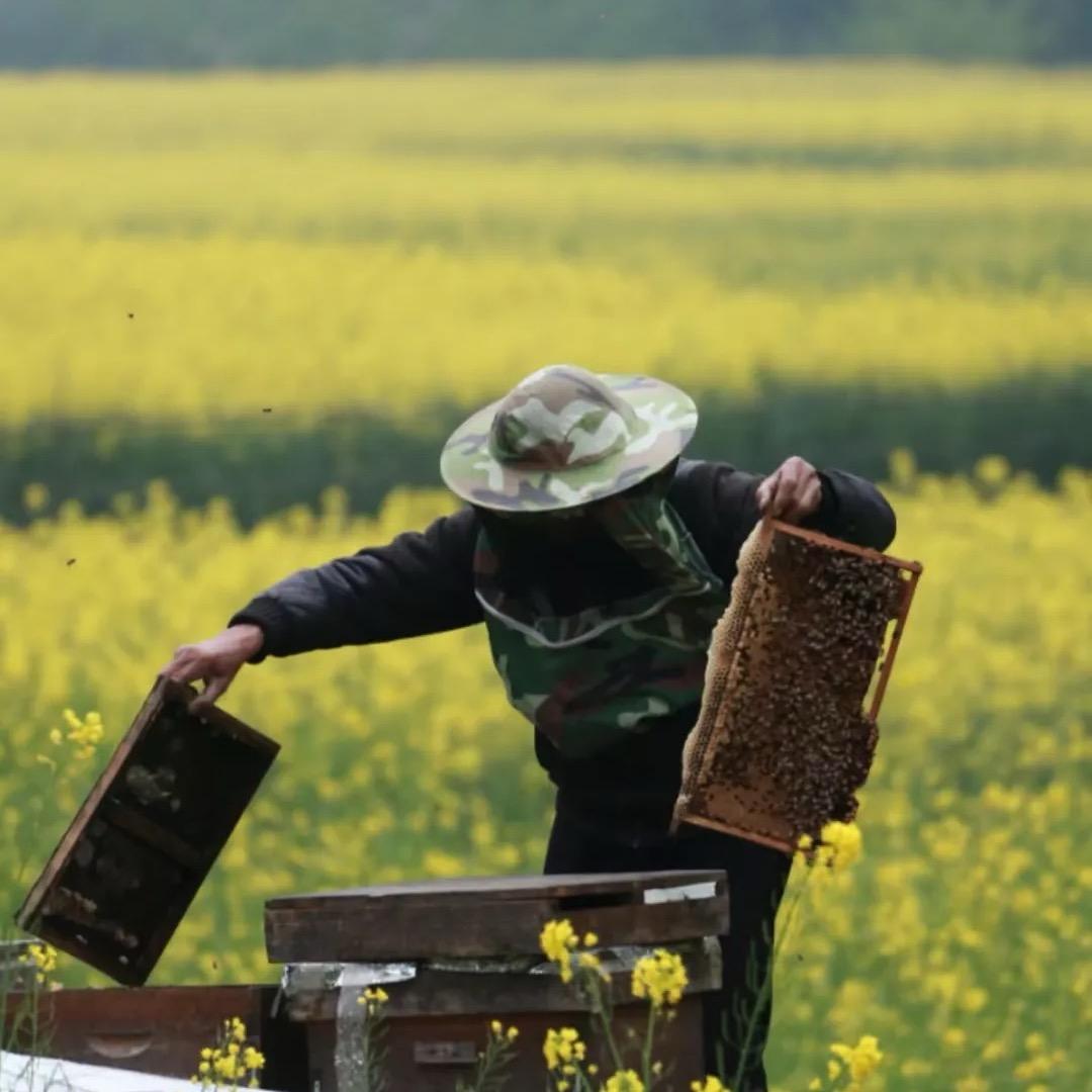 蜜🍯天下