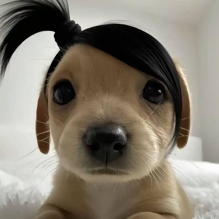 人生苦短