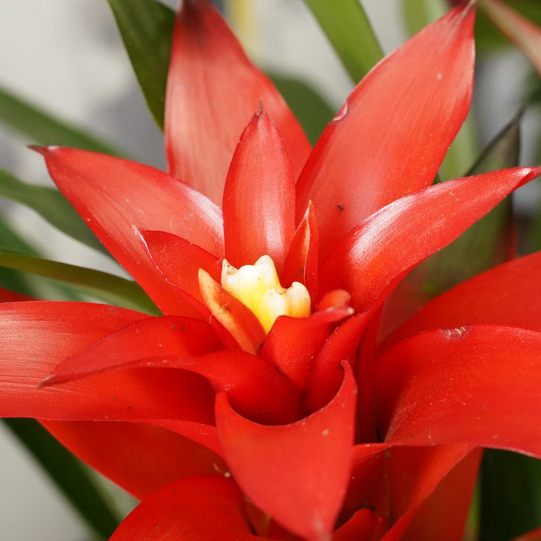 鸿运当头漫漫家