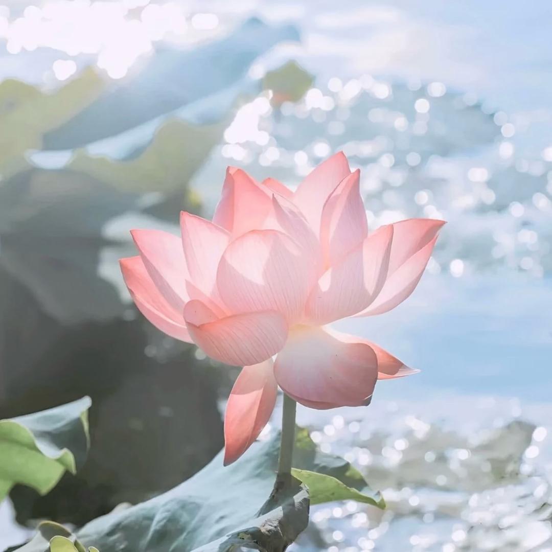 甜甜的老年生活😇😇😇