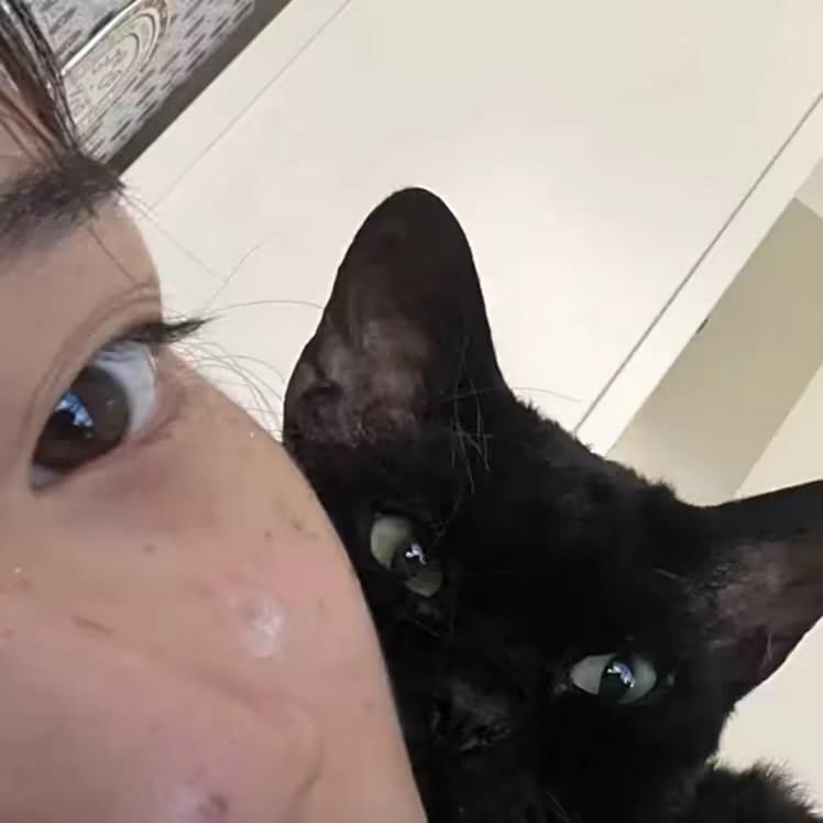 ㅤㅤㅤ头发扎大腿_