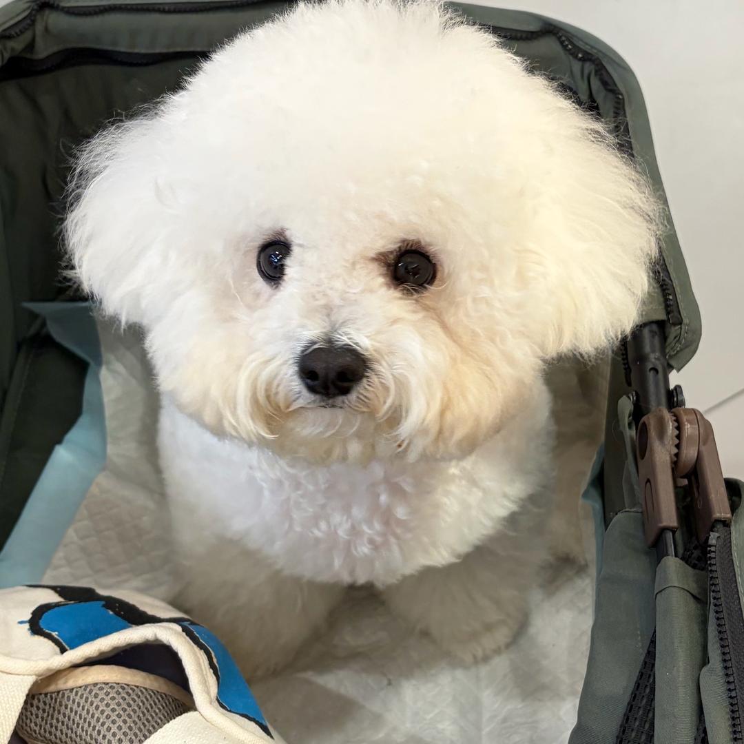 文本正在输入…