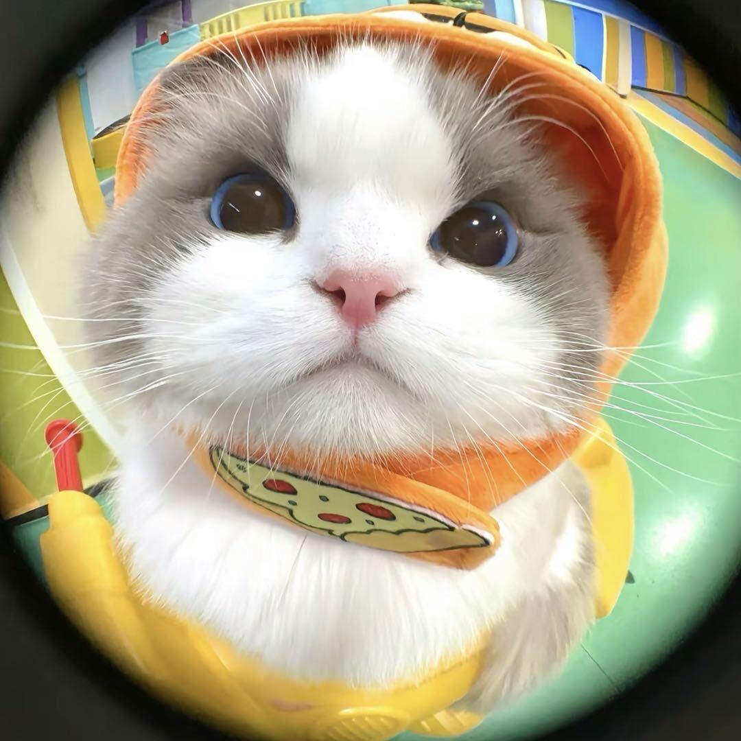 心碎星冰乐