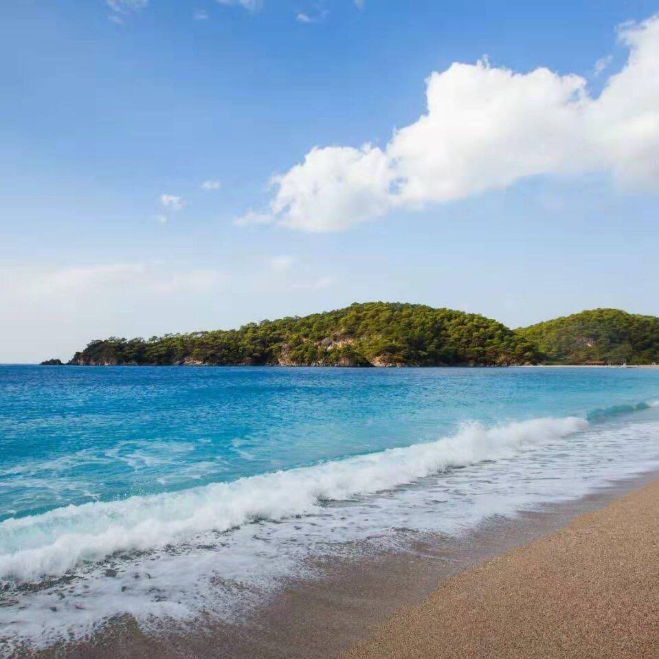 江西最后一个读书人🧢