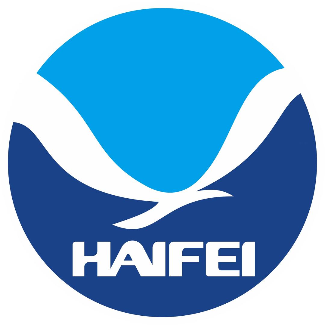 海飞汽车用品旗舰店