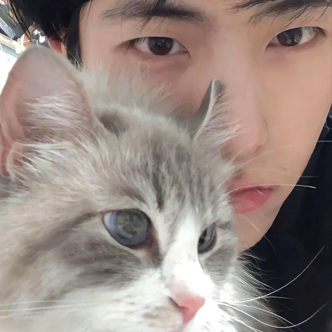 李歪歪