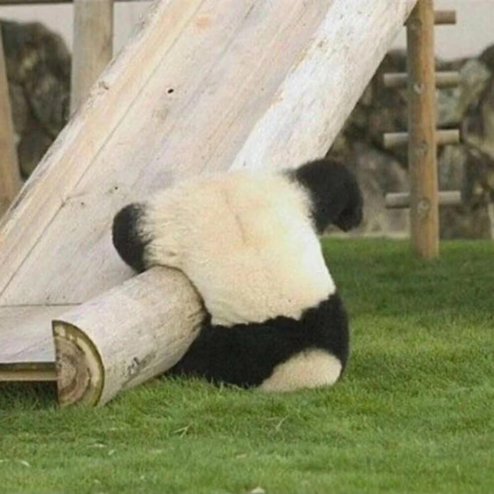 至一块块糖～