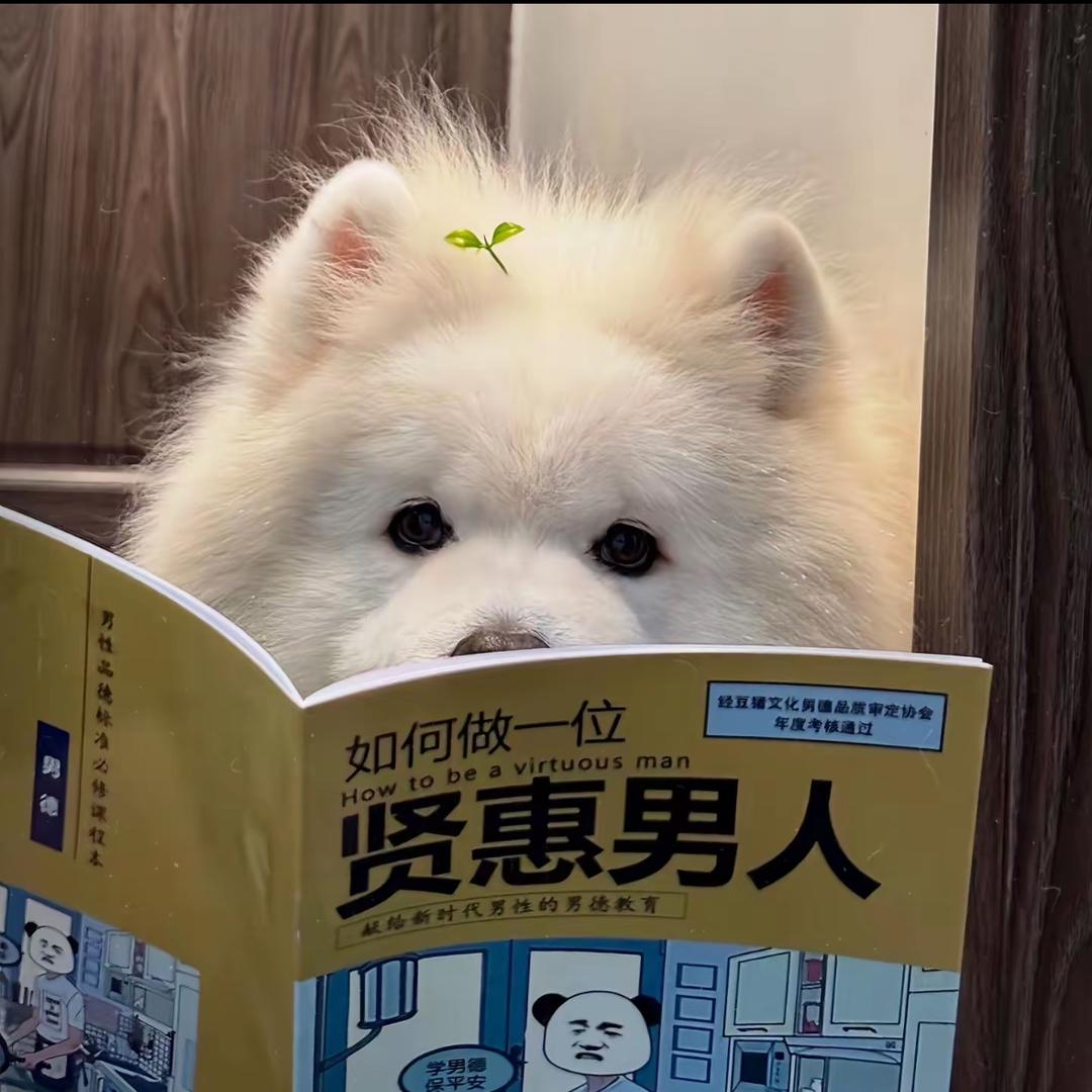 记得早睡