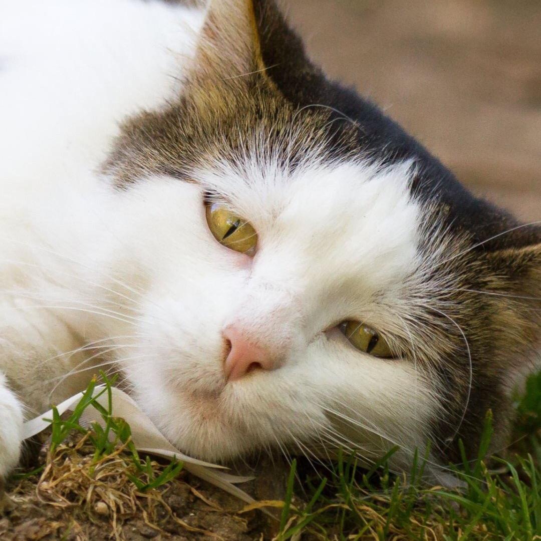 广州瑞铧商贸商行（个人独资）
