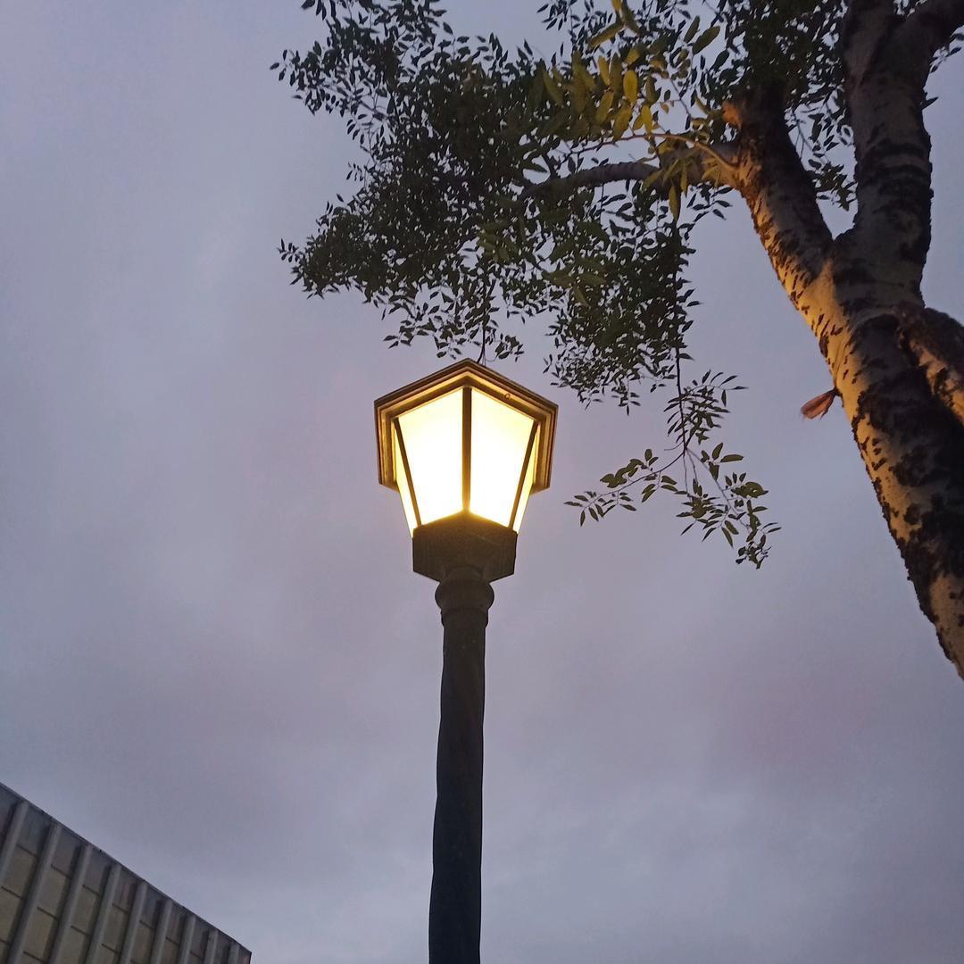 小禾不喝饮料🐾