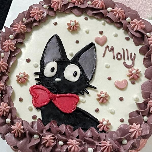 ʚ MOLLY ɞ