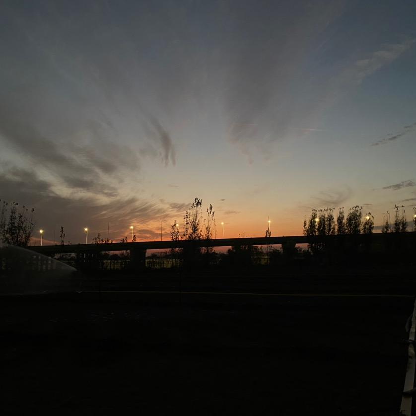 再见了，单纯！