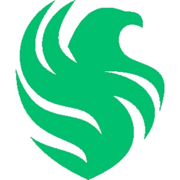 FALCONS电子竞技俱乐部