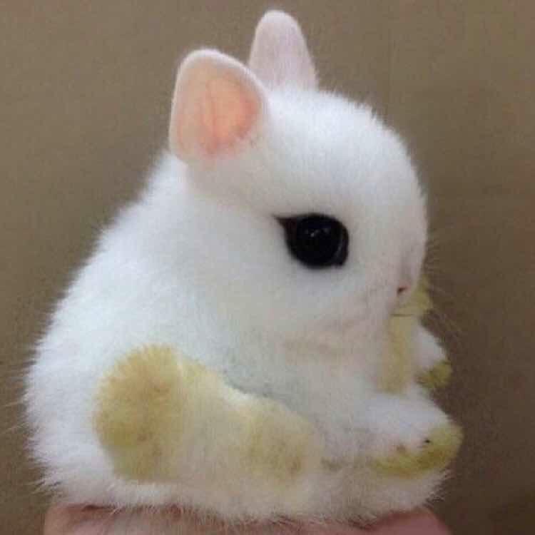 敏敏