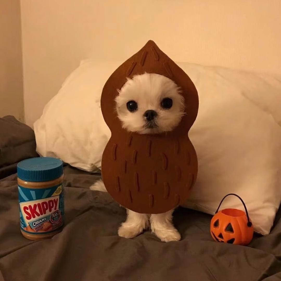 1195